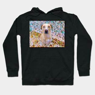 Beautiful Dog in Mosaic Style Hoodie